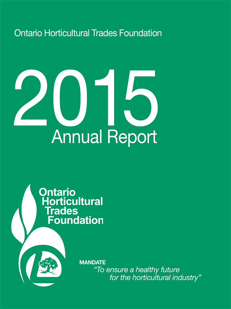 2015 foundation report cover
